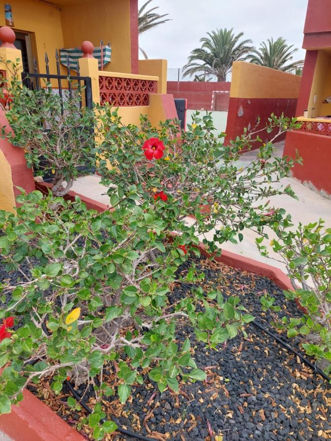 Appartement La Paloma Buena Esperanza à Costa De Antigua Extérieur photo